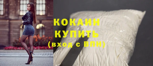 амф Вяземский