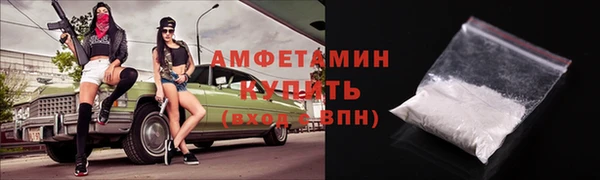 амф Вяземский