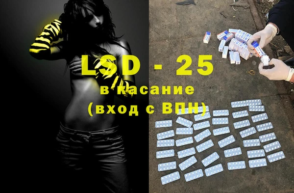 амф Вяземский
