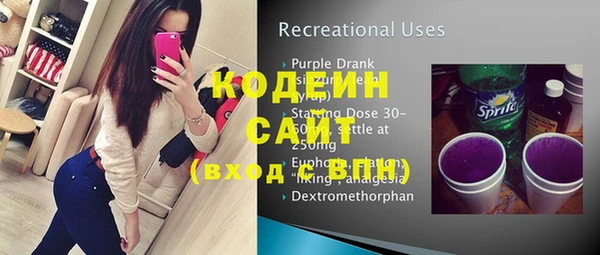 амф Вяземский